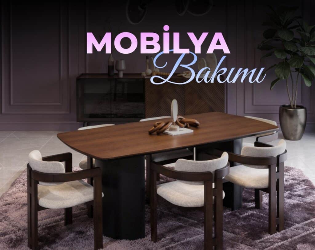 mobilya bakımı